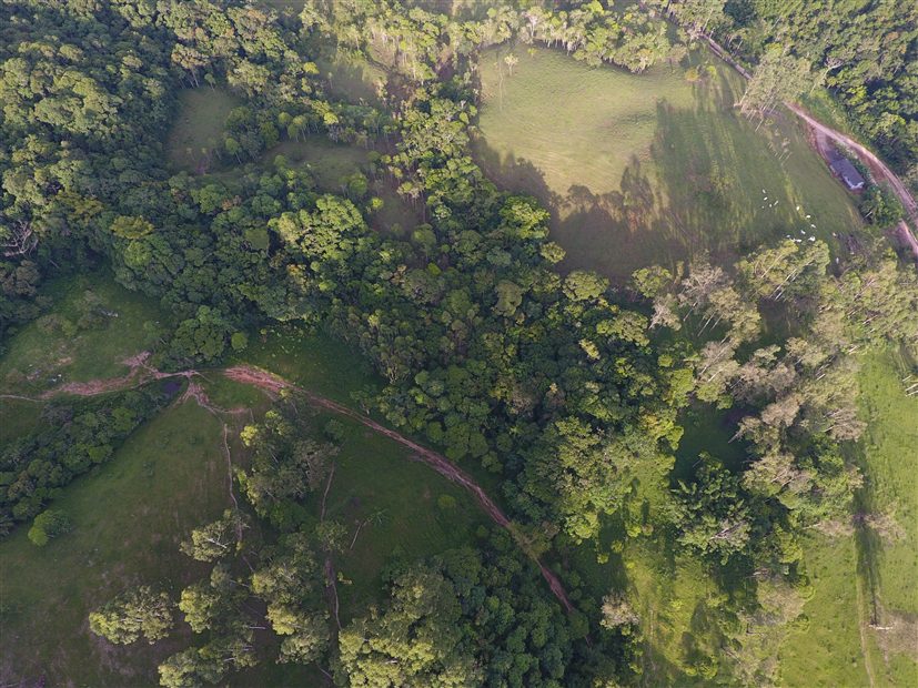 Área de Pastagens — Vista Aérea